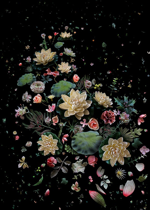 Hong Kong Soup:1826, Lotus Garden  2011