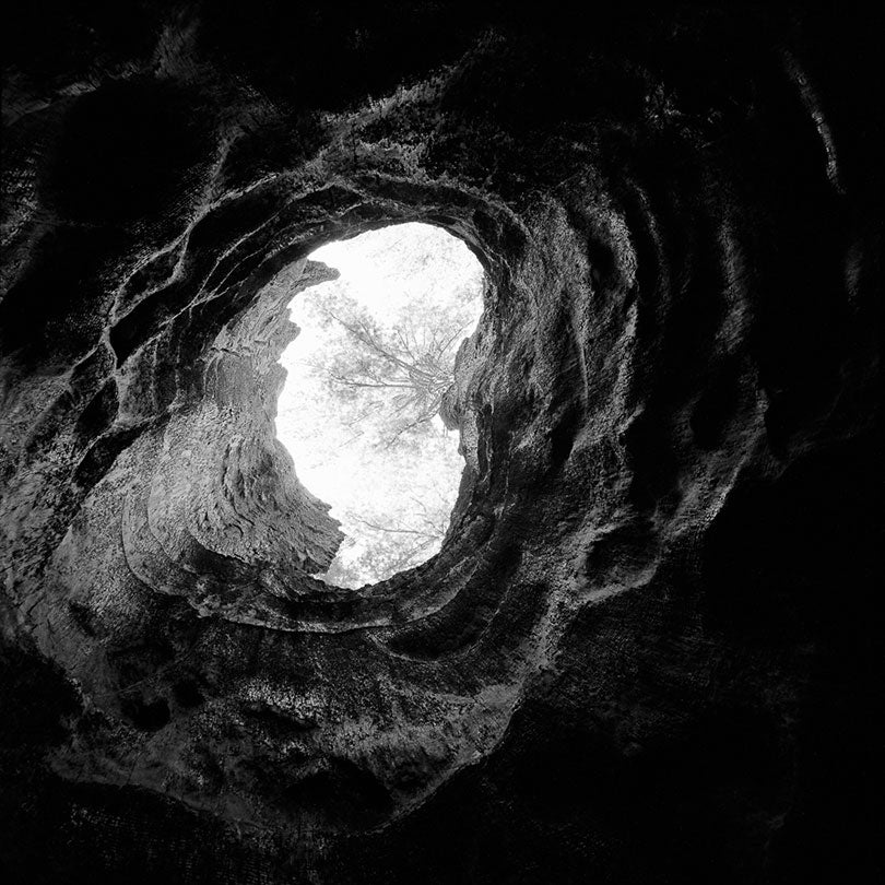 Bluto, Mariposa Grove, Yosemite National Park, California  2012/15