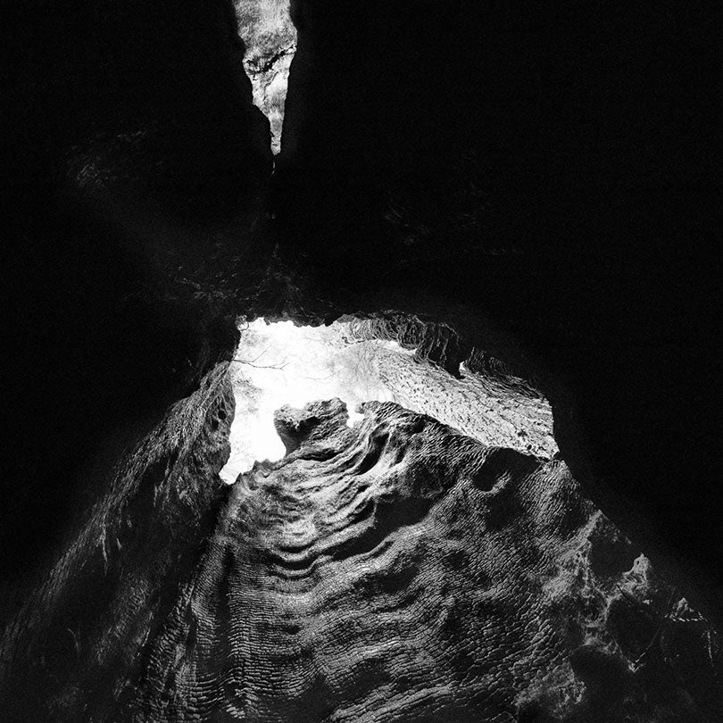 Prairie Creek Redwoods State Park, California  2014/15