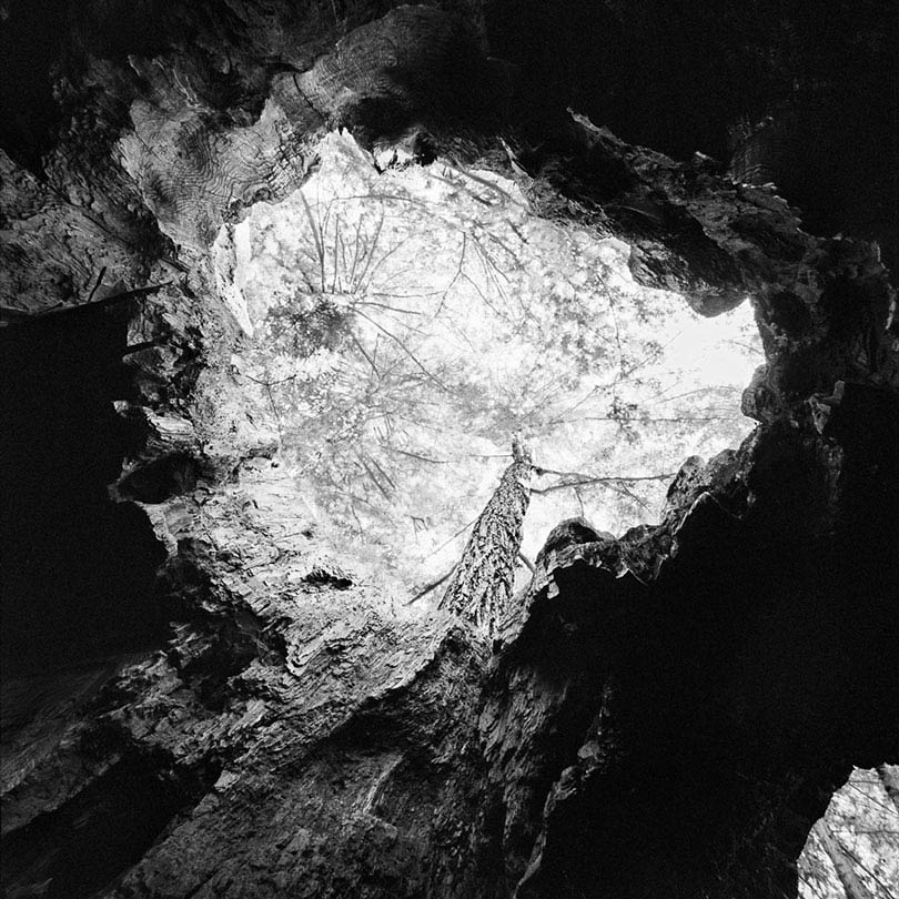 Myers Flat, Humboldt Redwoods State Park, California