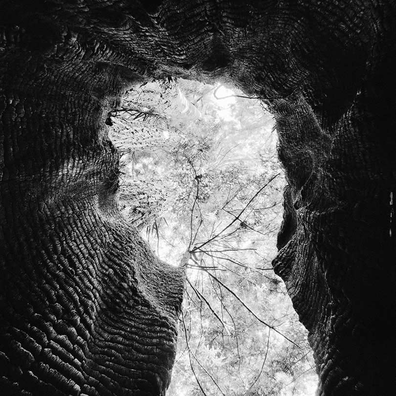 Wells, California 2013/15