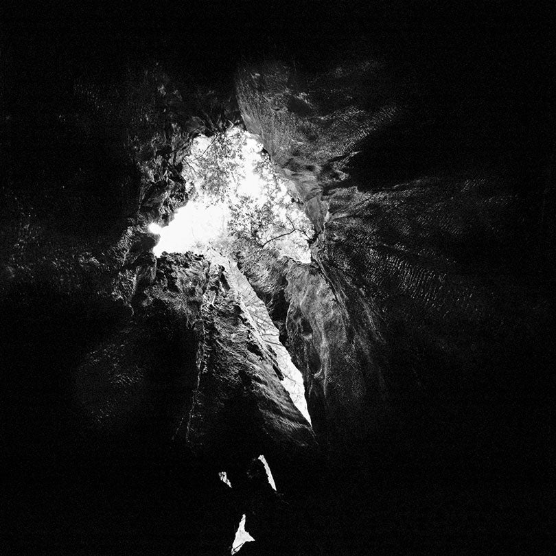 Prairie Creek Redwoods State Park, California  2014/15