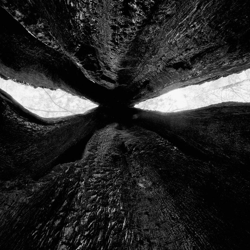 Kings Canyon National Park, California  2014/15