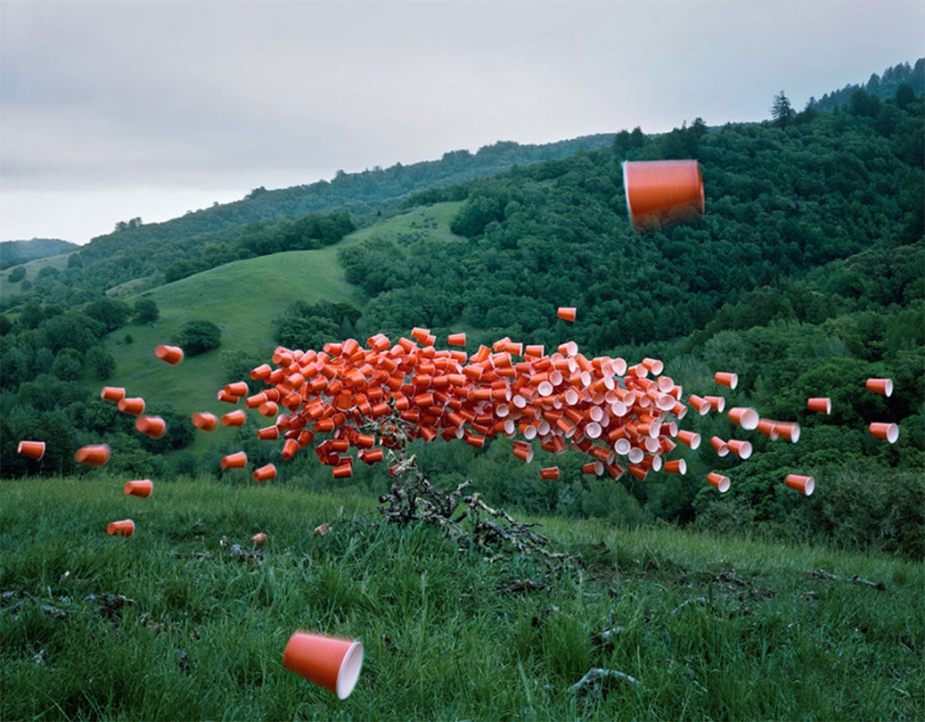 Cups No.3, Novato, CA  2014