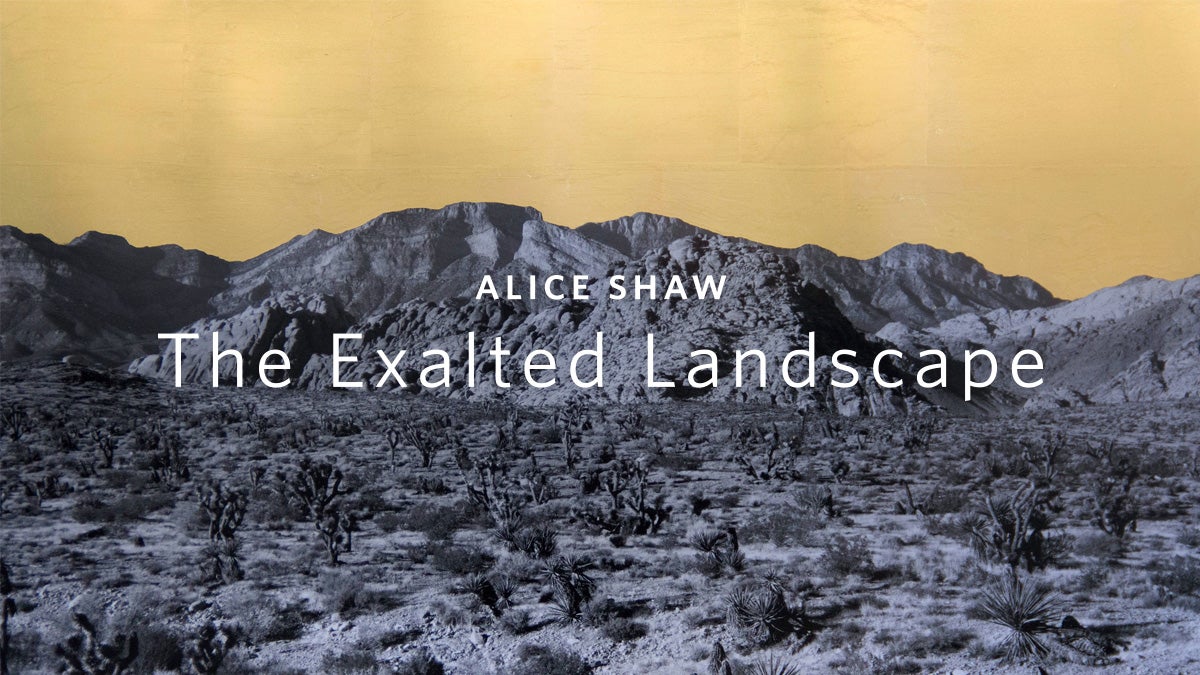 Alice Shaw: The Exalted Landscape