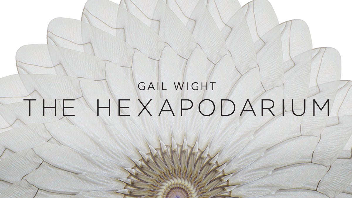 Gail Wight: The Hexapodarium