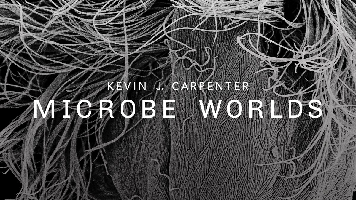 Kevin J. Carpenter: Microbe Worlds
