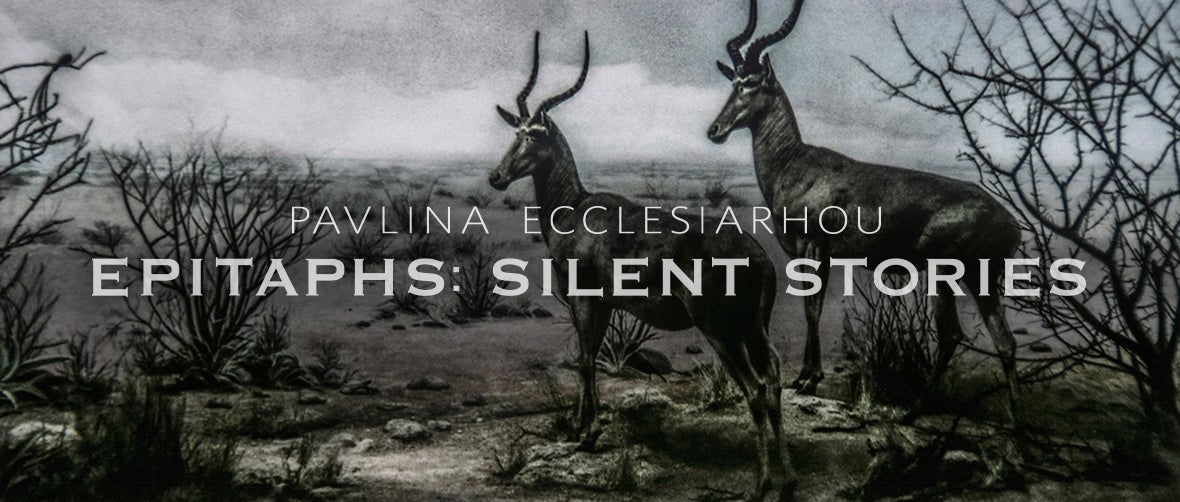 Pavlina Ecclesiarhou Epitaphs: Silent Stories