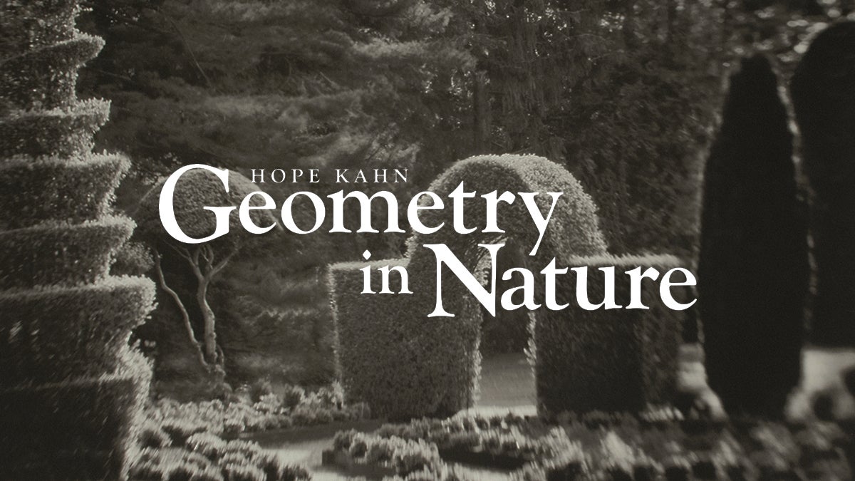 Hope Kahn: Geometry In Nature