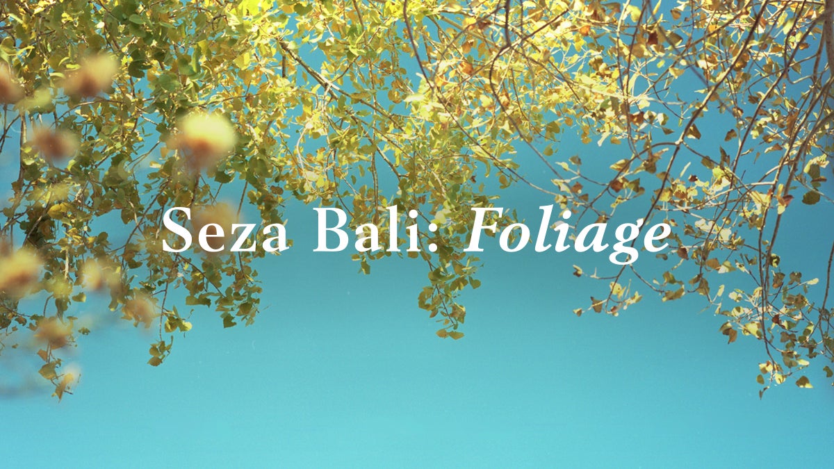 Seza Bali: Foliage