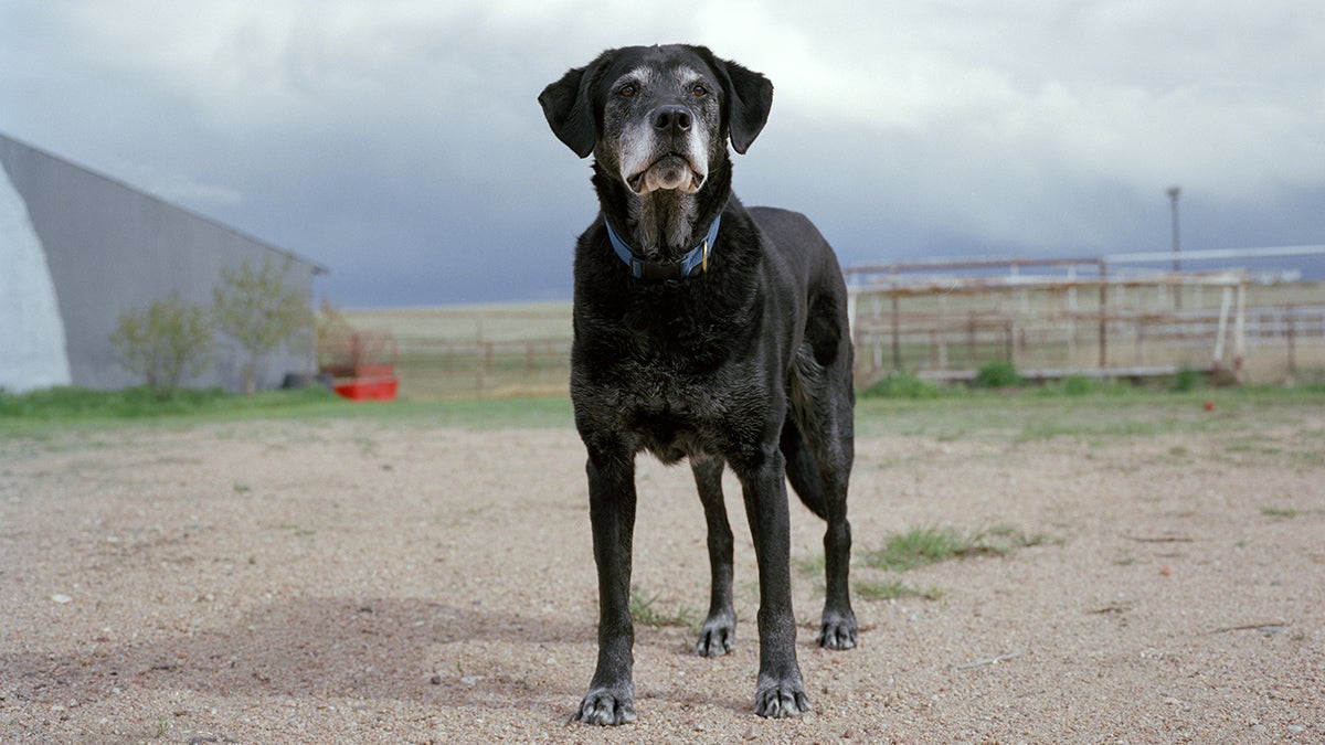 Charlotte Dumas: Retrieved 