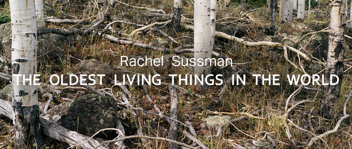 Rachel Sussman: The Oldest Living Things in the World