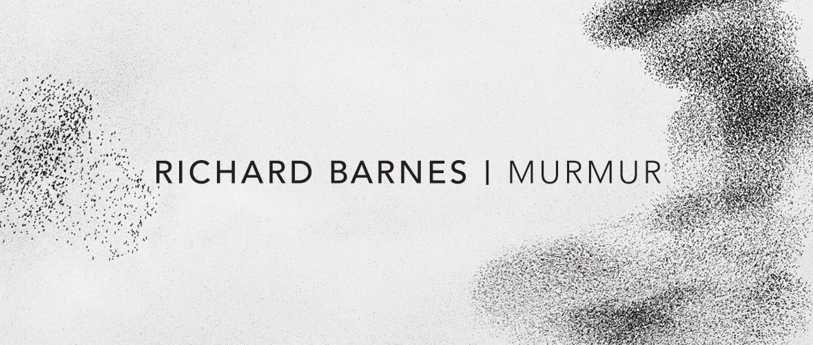 Richard Barnes: Murmur