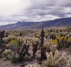 Urban School Image 2