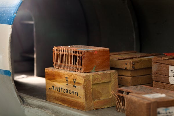 02 embed image interior revealed