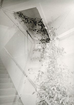 Detanglement  2025 Amylee Rachael (b. 2001)