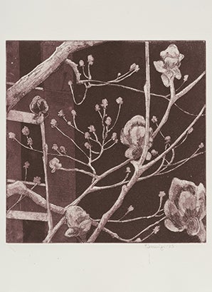 High Line Magnolia  2025 Penny Jennings (b. 1966)