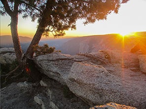 Parks in Focus: Ten Years at Yosemite 