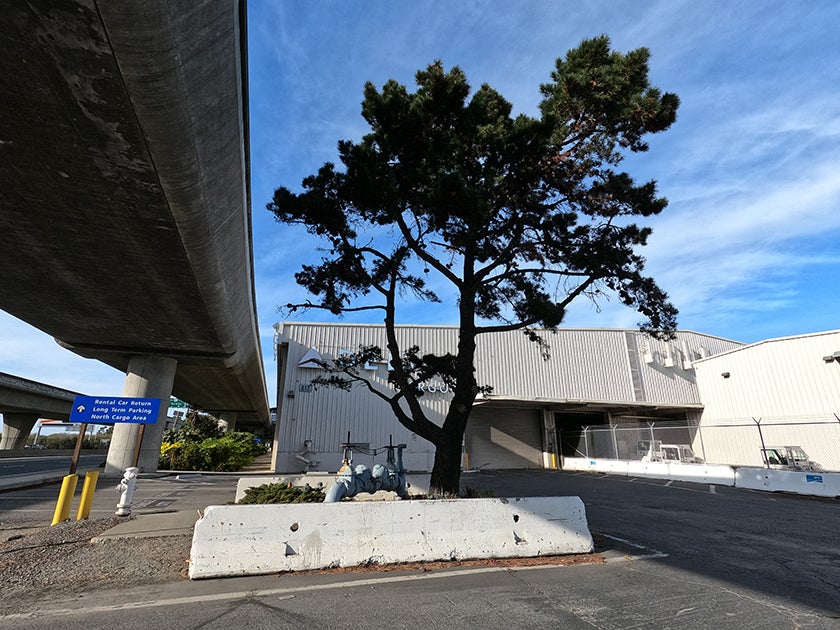 Pan American Clipper Cargo, 612 W. Field Road  2022