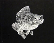 San Francisco Waldorf High School: Investigative Learning: Art, Nature, and Science