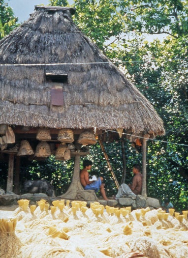 Baskets used for housing chickens hang from the eaves of a traditional Ifugao house 1995; Banaue, Luzon Cordillera, Philippines; Image courtesy of B. Lynne Milgram; R2013.0803.002