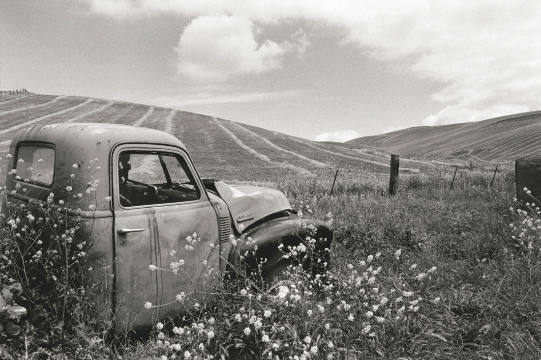 Untitled, from the series Back to the Ranch, Northern Livermore Country, Alameda County, California  1994