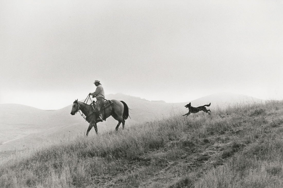 Untitled, from the series Back to the Ranch, Cull Canyon, Alameda County, California  1992  Matthew James O'Brien digital print Courtesy of the artist R2013.3401.002