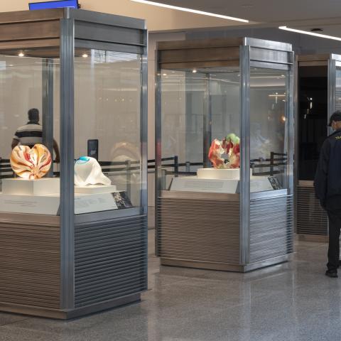 SFO Museum Gallery | Marvin Lipofsky: International Studio Glass