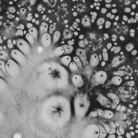 Event Horizon, Composition #0308   2021