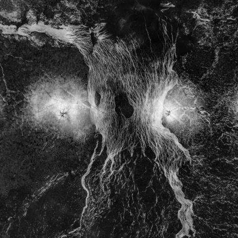 Event Horizon, Composition #378  2021