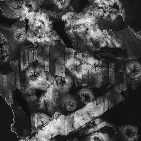 Event Horizon, Composition #503  2021