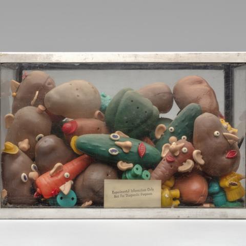 Not For Diagnostic Purposes  1982 Mickey McGowan (b. 1946) aquarium, toy figures, sand  Courtesy of Mickey McGowan, Unknown Museum Archives