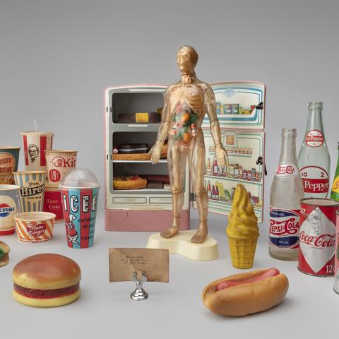 He existed on a steady diet of junk food  1982 Mickey McGowan (b. 1946) Visible Man model, miniature fake food, toy refrigerator, fake food and Food packaging and fake food  1950s–70s various makers Courtesy of Mickey McGowan, Unknown Museum Archives