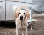 Charlotte Dumas: Retrieved 