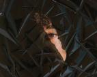 Erica Deeman, Journey to an Illusion 