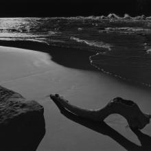 Driftwood on Beach at Granite Falls, Grand Canyon National Park, Arizona  1956 Philip Hyde (1921–2006)