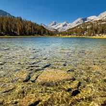 Marsh Lake  2007 Little Lakes Valley, Eastern Sierra, California   Joshua Cripps (b. 1981) digital print Courtesy of the artist L2013.3191.006