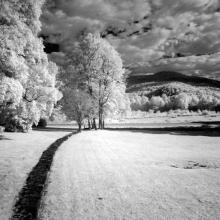 The Long Way Home  2015