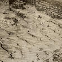 Sand Dunes at Ocean Beach, San Francisco  c. 1920