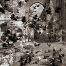 San Nicolás de Bari, Santo Domingo, Dominican Republic  2009