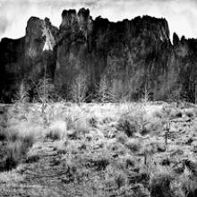 Volcanic Ash, Central Oregon 