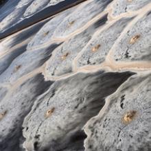 Facial Tissues: Pulp waste from manufacture of facial tissues, Terrace Bay, Ontario, Canada 