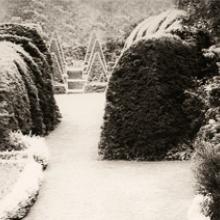 Hope Kahn: Geometry In Nature