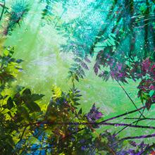 Heterotopia No.09  2014