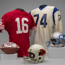 A selection of material representing the NFC West Division of the National Football League