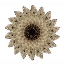 Carlina voluceria  2014