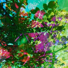 Heterotopia No.41  2014