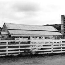 Hay Barn and Grain Silo, Murphy Ranch, Point Reyes, California  2006