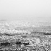 Averi, Half Moon Bay, California  2010  