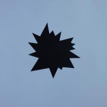 Break  2014  Lindsey White (b. 1980)  digital print  Courtesy of the artist  R2014.1901.003